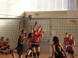 Illustration de la galerie